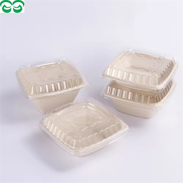 Biodegradable /Sugarcane salad bowl with lid from disposablesInc.com. The best import service in China. Import your disposable items from us.